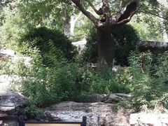 景山公园-景山公园