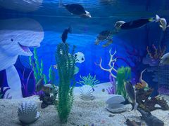 -秦皇岛乐岛海洋王国