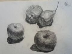 -上海峰子美术教育培训机构(杨浦店)