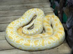 -石家庄市动物园