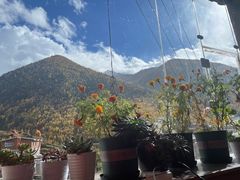 -四姑娘山阿巴郎·藏式花园餐厅