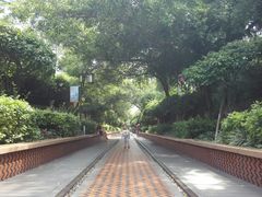 -铁路文化公园