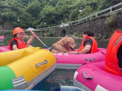 -安吉龙王山峡谷漂流
