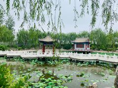 -纪晓岚文化园