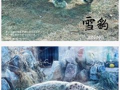 -青藏高原野生动物园