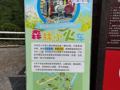 -合肥滨湖国家森林公园