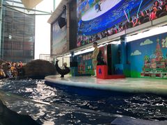 -成都浩海立方海洋公园