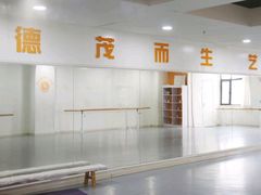 -西安小天鹅艺术团(金花路校区)