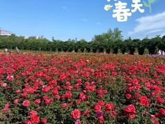 -水西公园