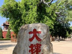 -大槐树寻根祭祖园