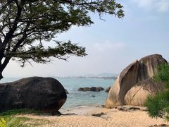 -三亚亚龙湾金棕榈度假酒店