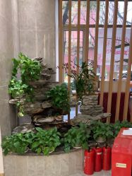 -雅曼妮spa美容养生