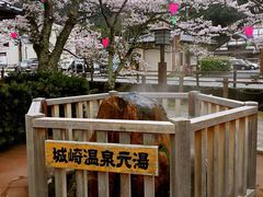 -城崎温泉 外七汤