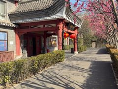 -潇湘甲鱼村(清河店)
