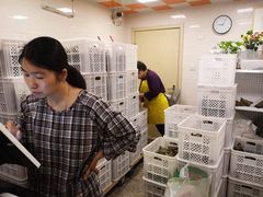 大堂-璐坊粽王(复兴中路店)