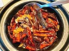 -上海总会SHANGHAICLUB(兴业太古汇店)