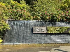 -云溪植物园