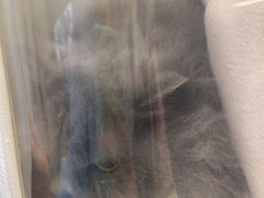 -艾贝尔宠物医院 ·中兽医·宠保定点(北门桥店)