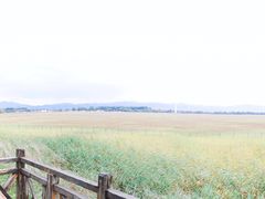 -野鸭湖国家湿地公园