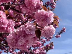 -龙阳路磁悬浮列车总站-停车场