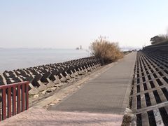 -上海滨江森林公园