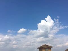 -呼兰河口湿地公园