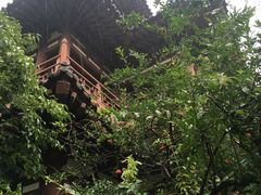-西安青龙寺遗址景区