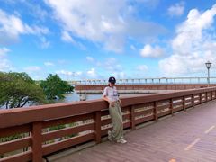 -宝安西湾红树林湿地公园