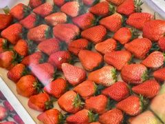 -泰康食品(南京东路店)