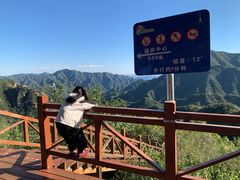 -大岭沟猕猴桃谷风景区