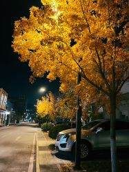 -G-STEPS舞蹈工作室