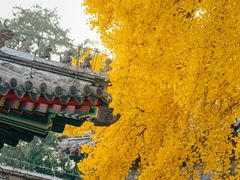 -承恩寺
