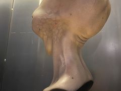 -drivepro(三里屯店)