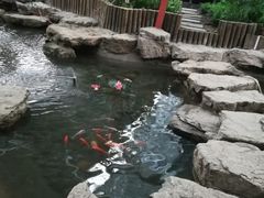 -森谷美食公园(杨行店)