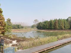 -溱湖国家湿地公园