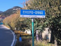 -大芦花风景区