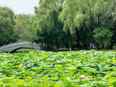 -北陵公园