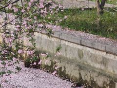 -洛阳市隋唐城遗址植物园