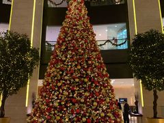 -皇朝尊会(龙之梦大酒店)