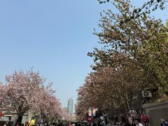 -天津五大道文化旅游区