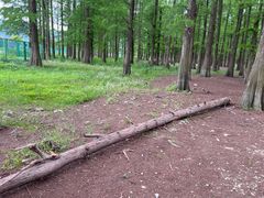 -四明湖