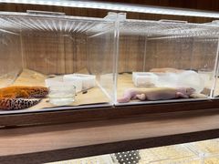 -酷以爬仙阁实体爬宠店·守宫·蜥蜴·专业繁育