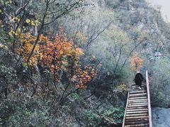-狼牙山风景区