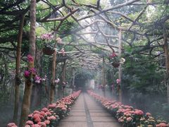 -广西壮族自治区药用植物园