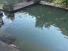 -重庆神龙峡漂流