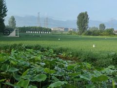 -木塔寺遗址生态公园