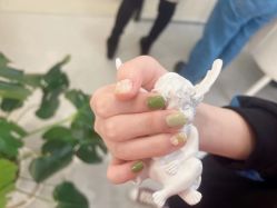 点击看大图 -1R日式轻奢美睫美甲翘睫