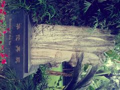 -复旦大学附属华山医院(总院)