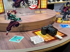 -Sony Store 索尼(上海淮海中路店)