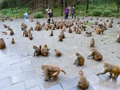-黔灵山公园